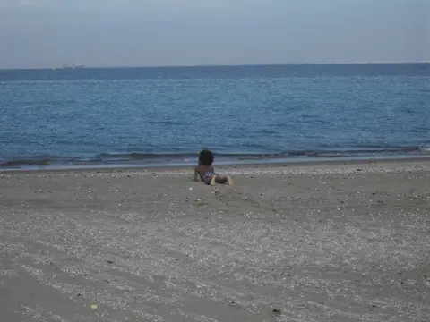 SDC11318.JPG