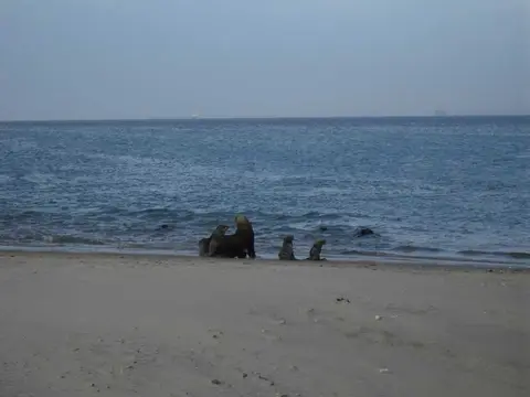 SDC11323.JPG