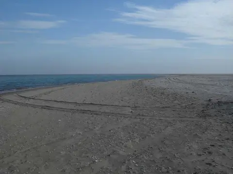 SDC11347.JPG