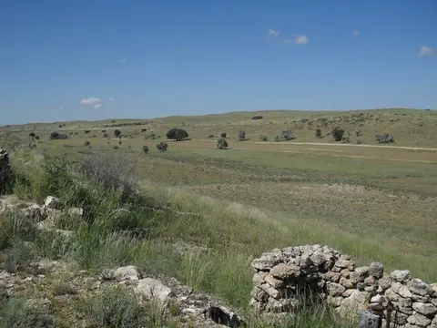 SDC11599.JPG