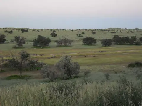 SDC11606.JPG