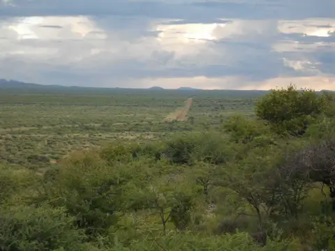 SDC11904.JPG