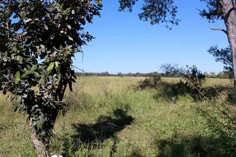 h0e95d97.JPG