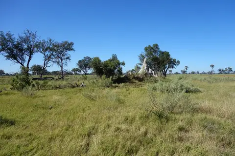 h13ca542.jpg