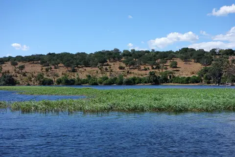 h2876358.jpg