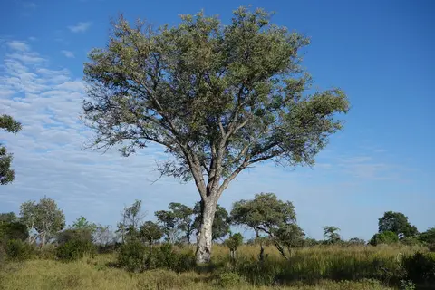 h368109e.JPG