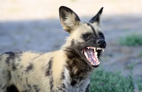 h66da512.jpg