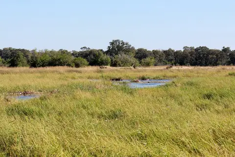 h7743044.jpg