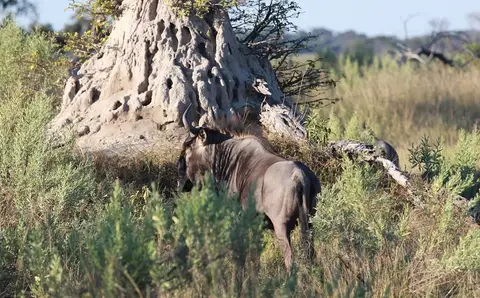 h9aafed4.jpg