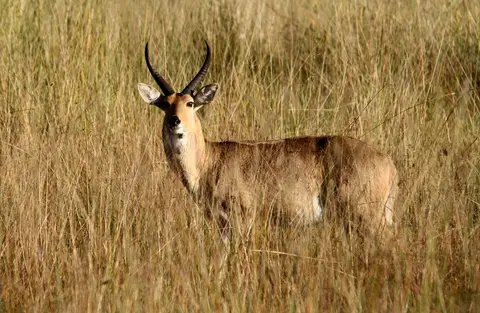 hc03408f.jpg
