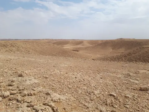 20241027_111713.jpg
