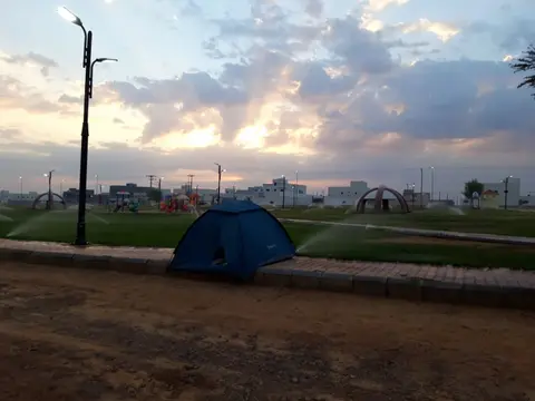 20241029_062858.jpg