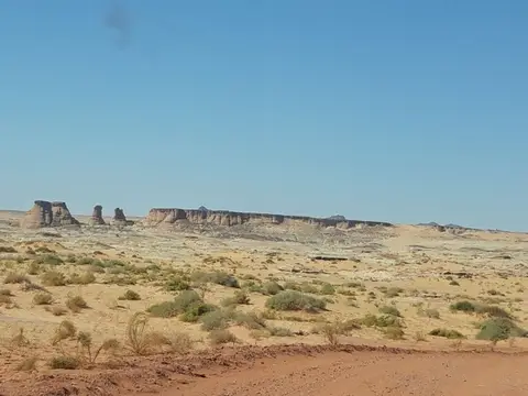 20241030_133926.jpg