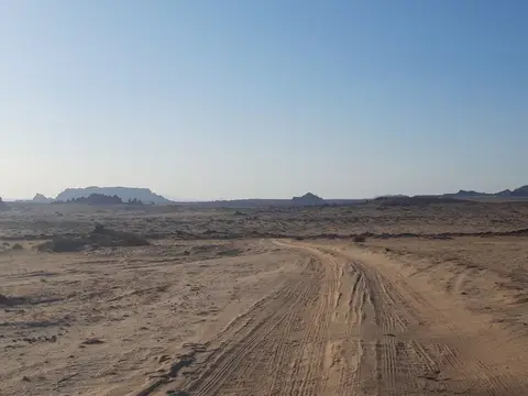 20241030_163501.jpg