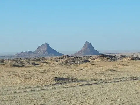 20241031_074132.jpg