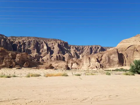 20241101_092436.jpg