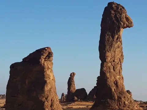 20241102_074323.jpg