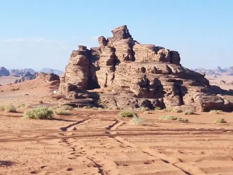 20241103_160850.jpg