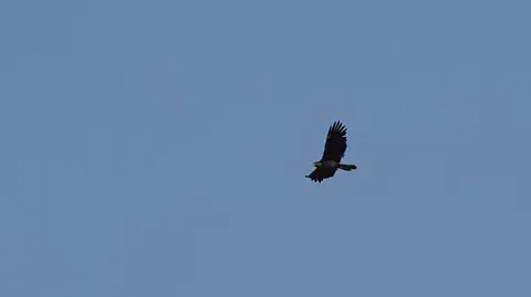 DSC00653.jpg