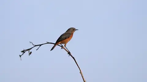 DSC01624.jpg