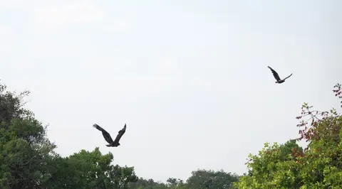 DSC05427ZAM25k-2.jpg