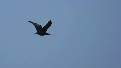 DSC06071.jpg