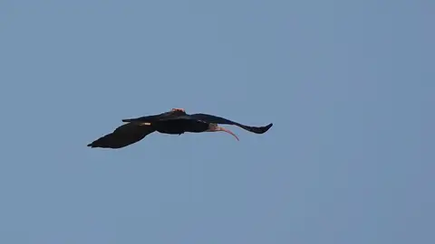 DSC06075.jpg
