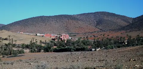 DSC08589.jpg