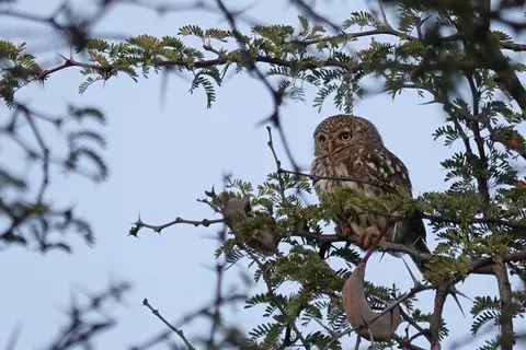 DSC08591fk.JPG