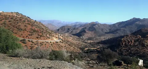 DSC08709.jpg