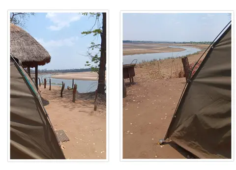 collagewildlifecampZAM25k.jpg