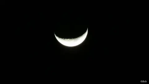 h0f2ccd9.jpg