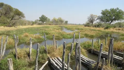 h259524f.jpg
