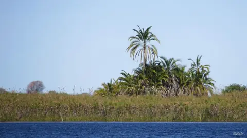 h2f76706.jpg