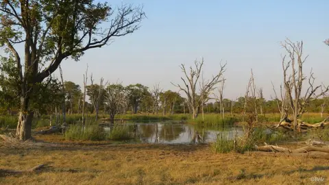 h3994413.jpg