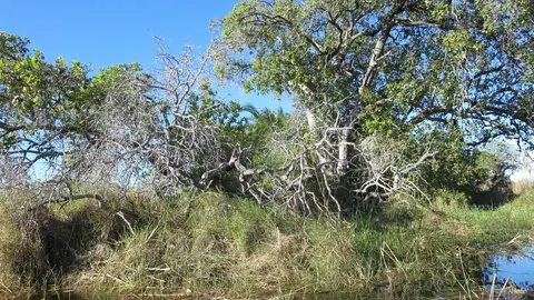 h64859fe.jpg