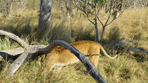 h65901e0.jpg
