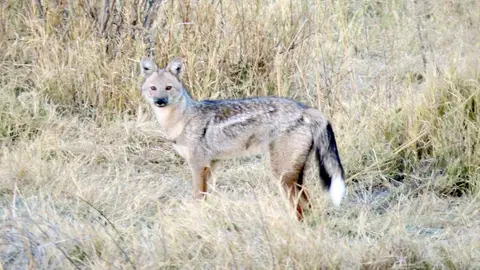 h86e259e.jpg