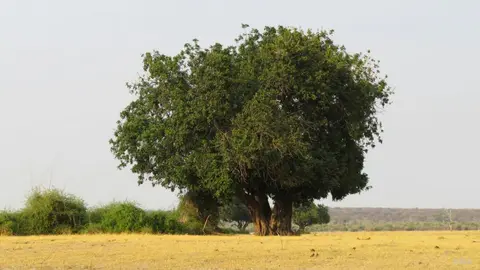 h9f0e763.jpg