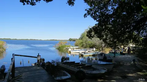 hac0d225.jpg