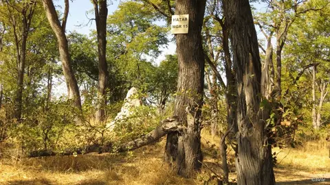 hec77885.jpg
