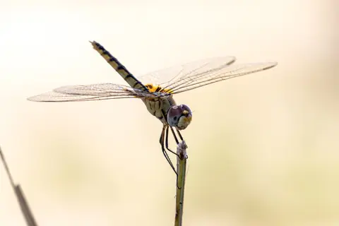 20181019-135313-7D3_6934.JPG