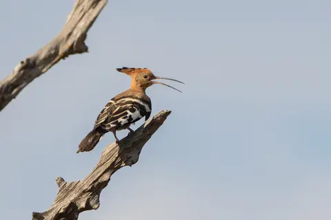 20181020-165509-LV6A6684.JPG