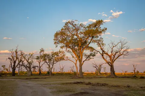 20181020-181144-5N7A1341-HDR.JPG