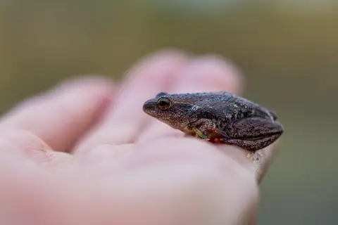 20181022-061112-5N7A2105.JPG