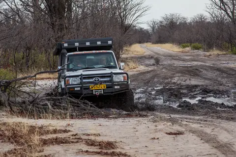 20181024-063219-5N7A2358.JPG