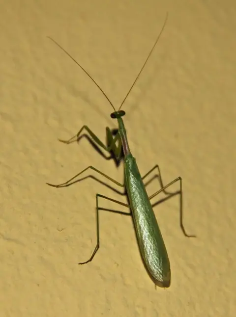 h2e87737.jpg