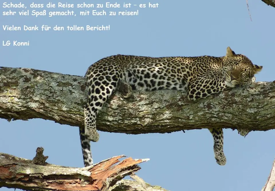 franzicke.jpg