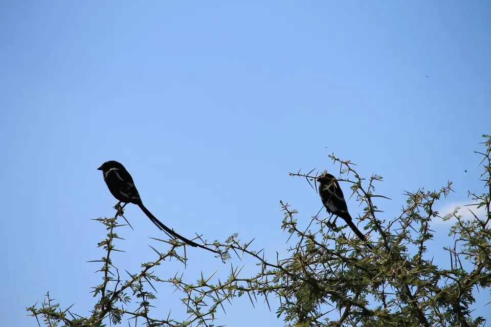 SA2016_022-2-3-4.jpg