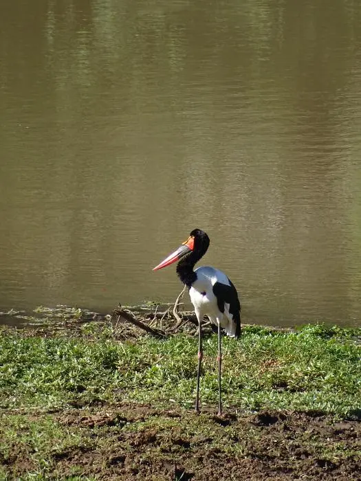 SA2016_041-2.jpg